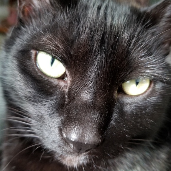 Meet your Posher, Britt - Picture 8 of 8